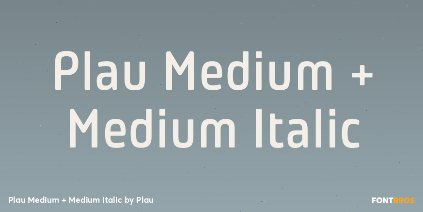 Plau Medium + Medium Italic Poster