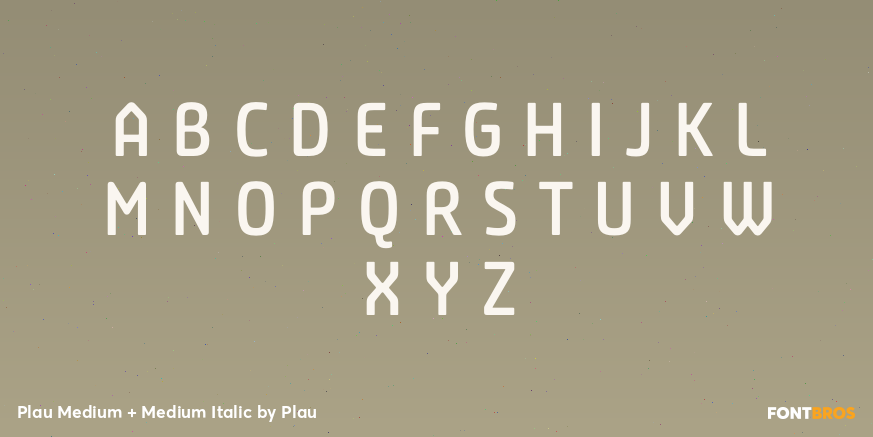Plau Medium + Medium Italic Font Poster #1