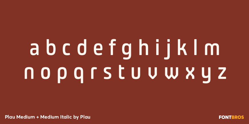 Plau Medium + Medium Italic Font Poster #1