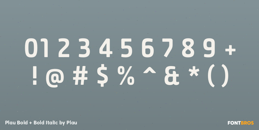 Plau Bold + Bold Italic Font Poster #1