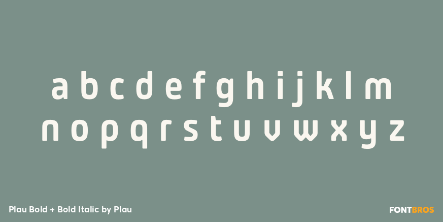 Plau Bold + Bold Italic Font Poster #3