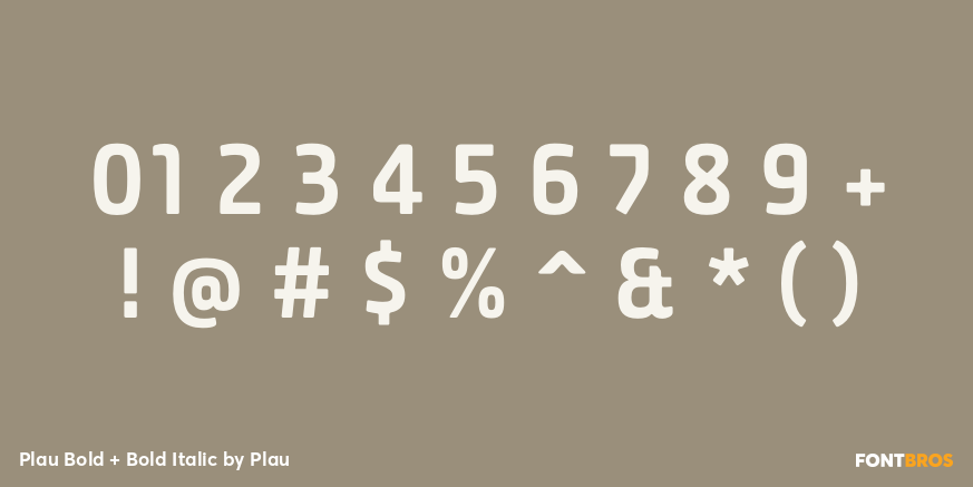 Plau Bold + Bold Italic Font Poster #4