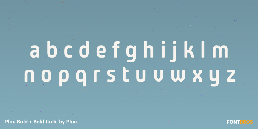 Plau Bold + Bold Italic Font Poster #1