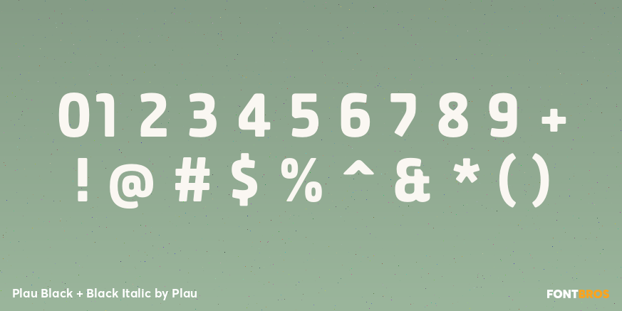 Plau Black + Black Italic Font Poster #1