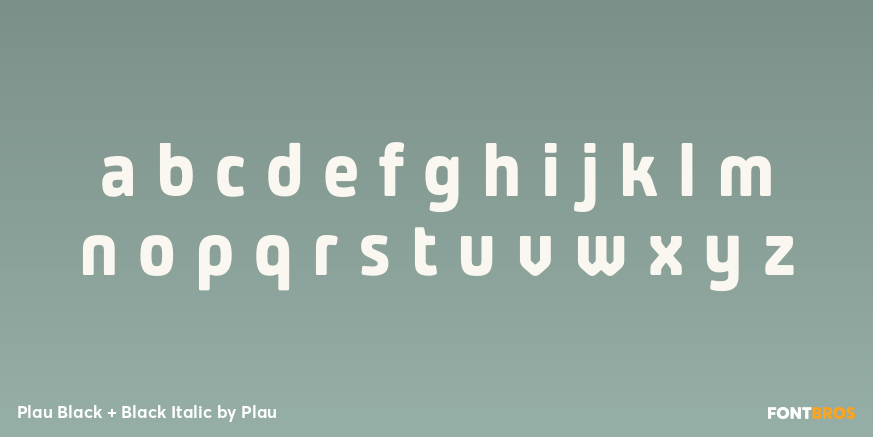 Plau Black + Black Italic Font Poster #1