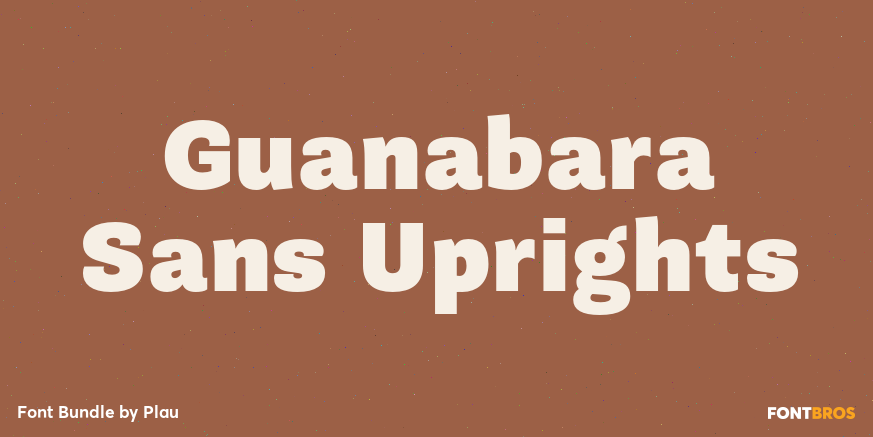Guanabara Sans Uprights Poster