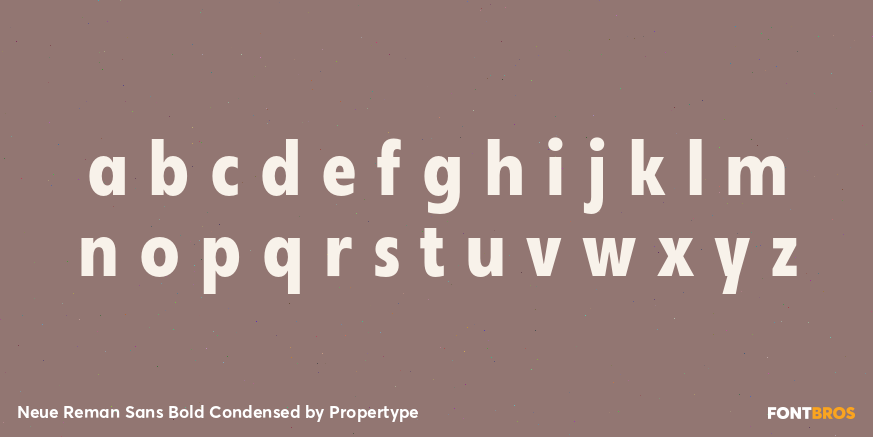 Neue Reman Sans Bold Condensed Font Poster #3