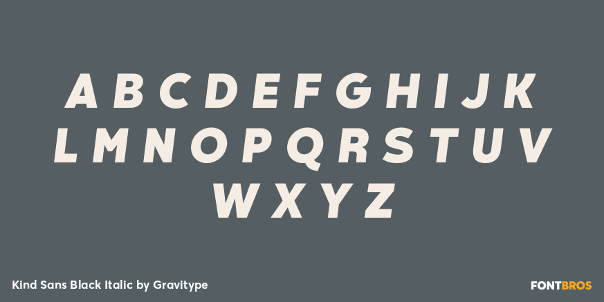 Kind Sans Black Italic Font Poster #2