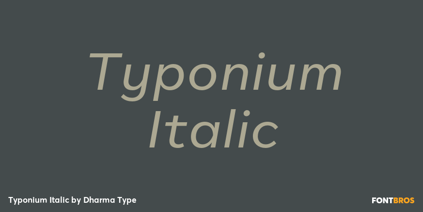 Typonium Italic Poster