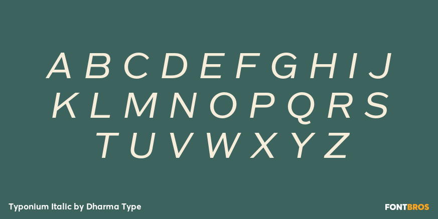 Typonium Italic Font Poster #2