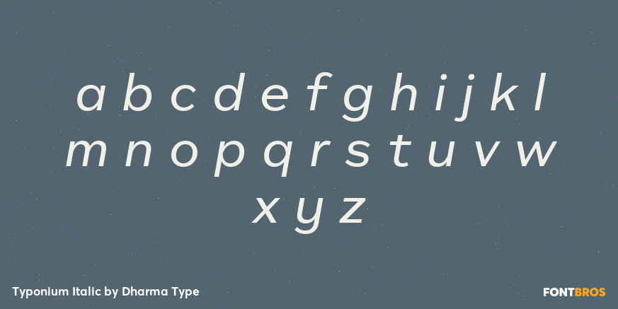 Typonium Italic Font Poster #3