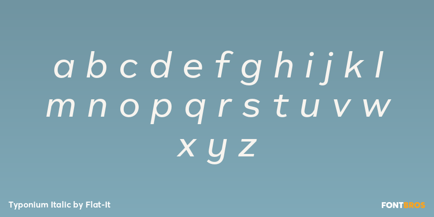 Typonium Italic Font Poster #3