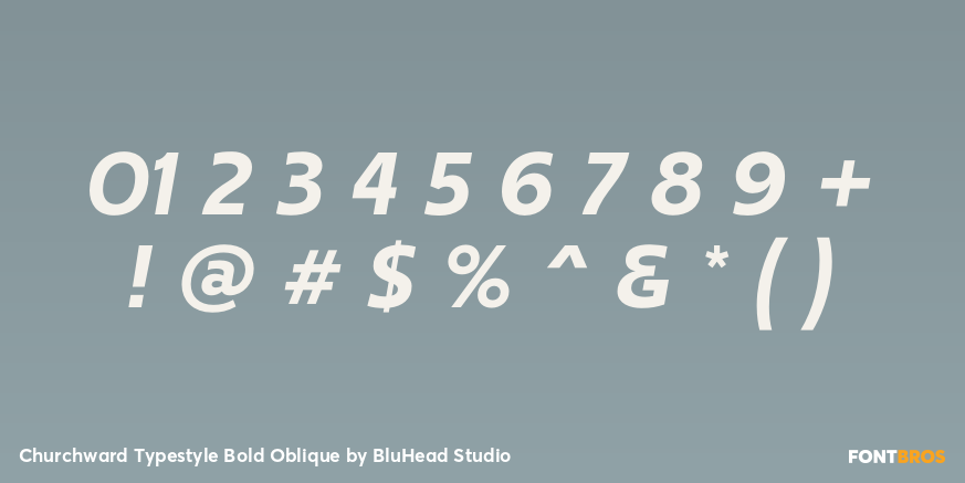 Churchward Typestyle Bold Oblique Font Poster #4