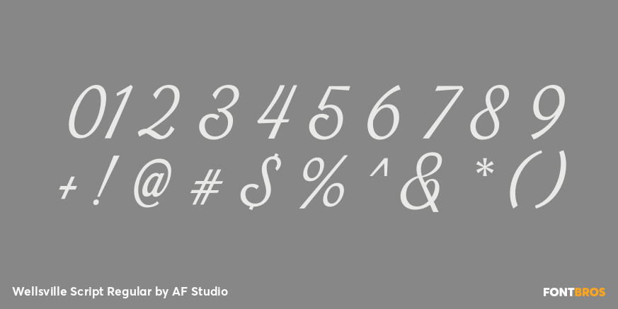 Wellsville Script Regular Font Poster #4