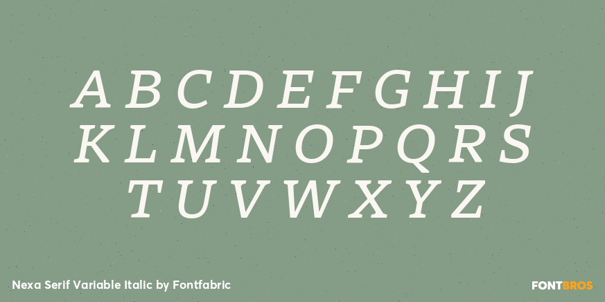 Nexa Serif Variable Italic Font Poster #1