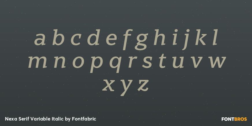 Nexa Serif Variable Italic Font Poster #1