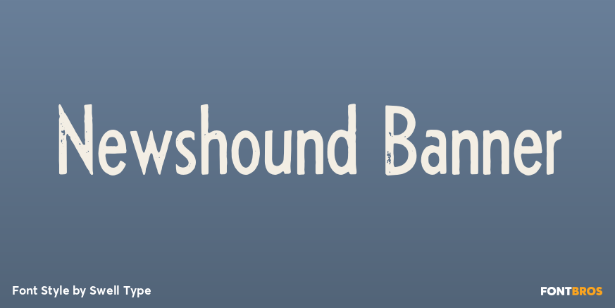 Newshound Banner Poster