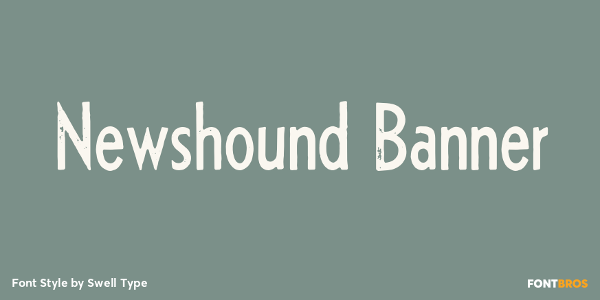 Newshound Banner Poster