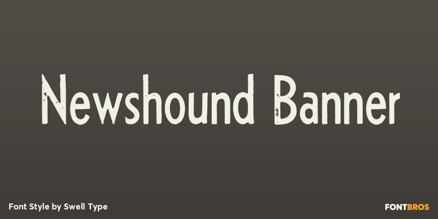 Newshound Banner Poster