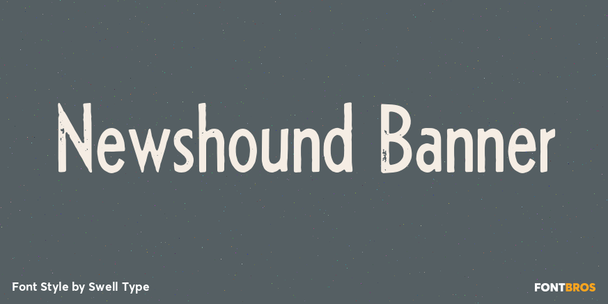 Newshound Banner Poster