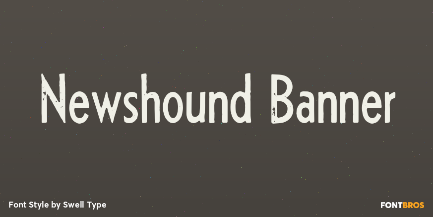 Newshound Banner Poster