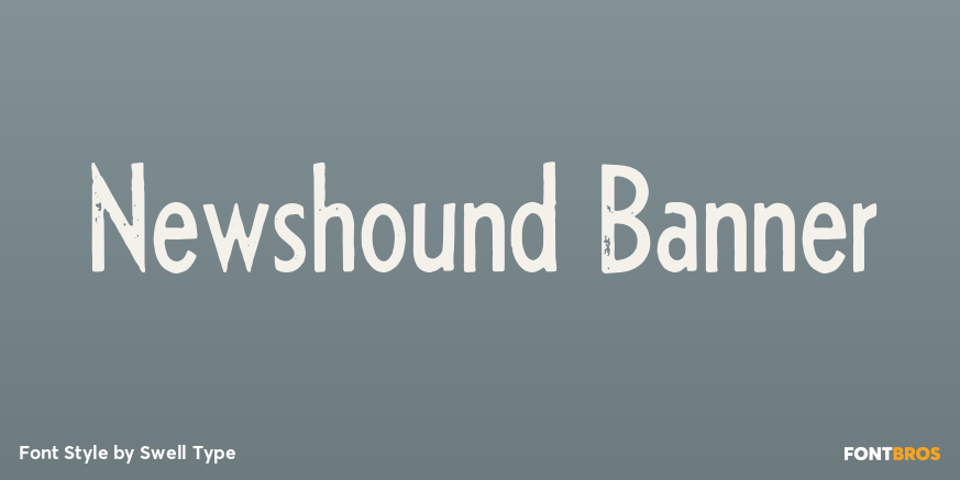Newshound Banner Poster