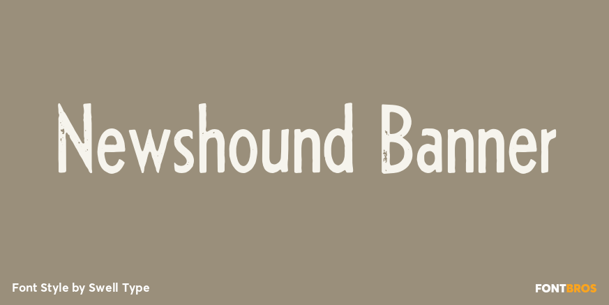 Newshound Banner Poster