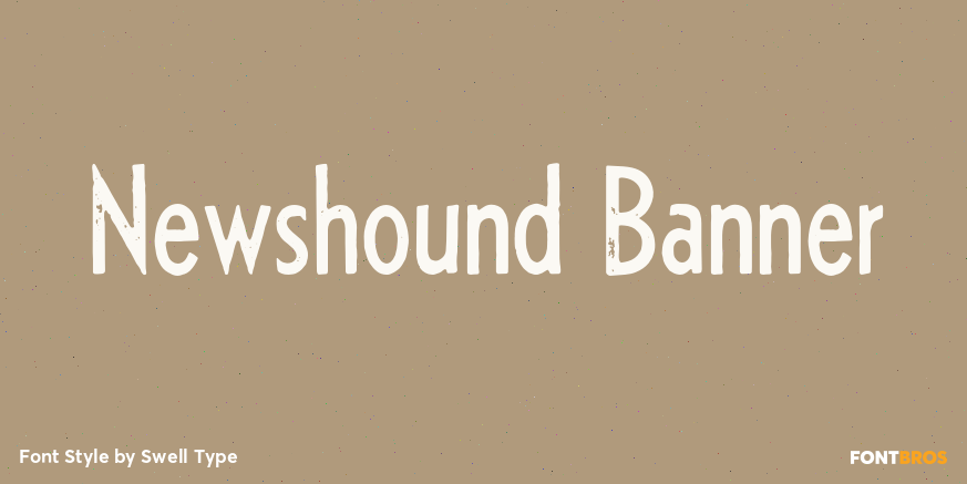 Newshound Banner Poster