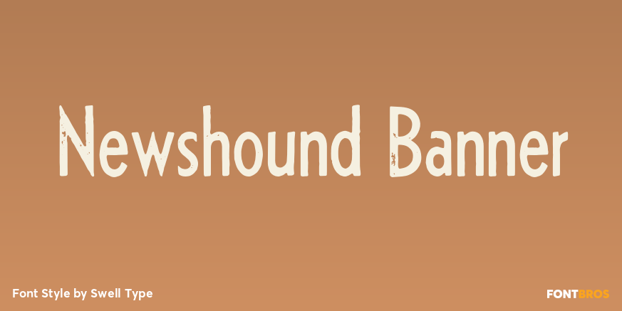 Newshound Banner Poster