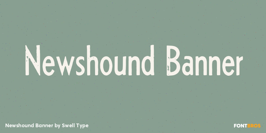 Newshound Banner Poster