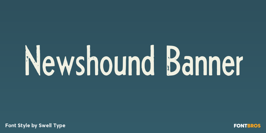 Newshound Banner Poster
