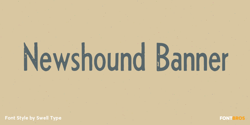 Newshound Banner Poster