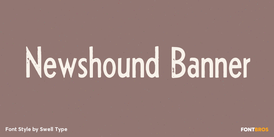 Newshound Banner Poster