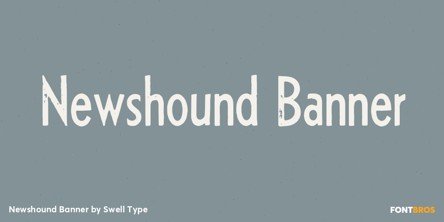 Newshound Banner Poster