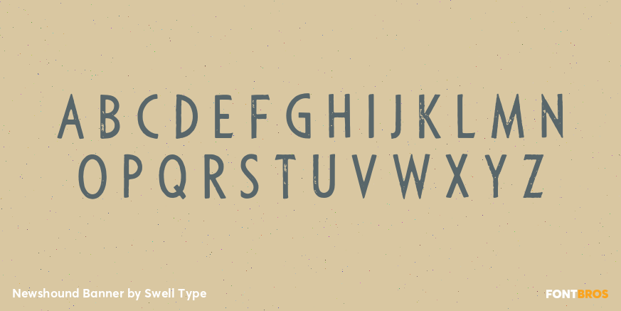 Newshound Banner Font Poster #2