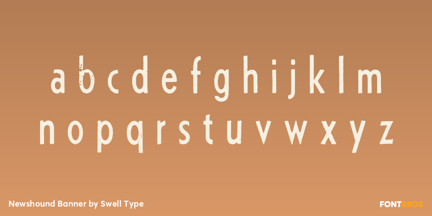 Newshound Banner Font Poster #3
