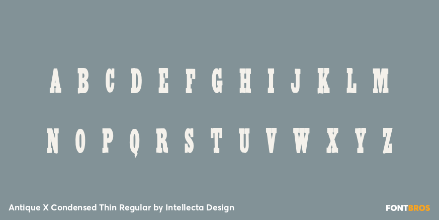 Antique X Condensed Thin Regular Font Poster #3