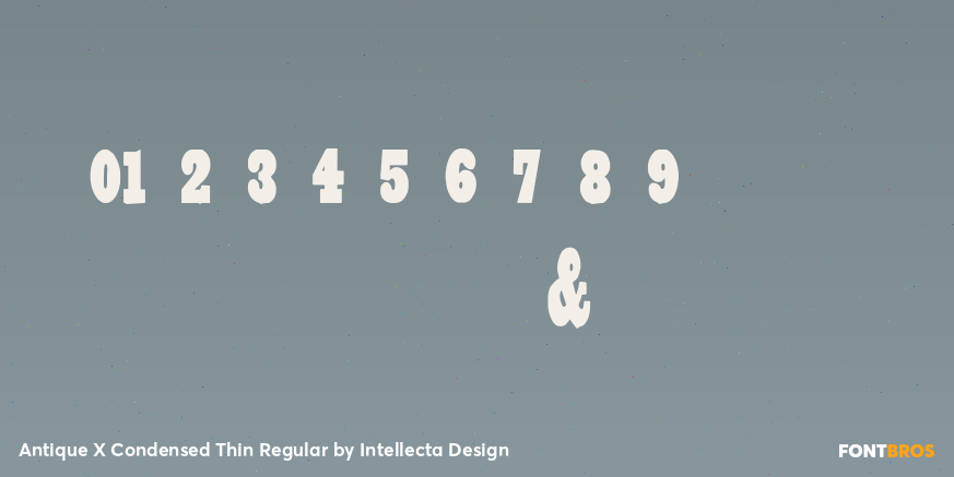 Antique X Condensed Thin Regular Font Poster #4