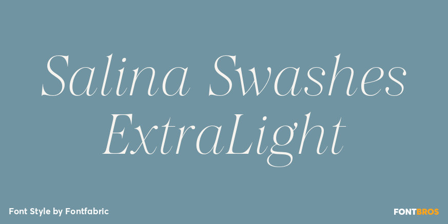 Salina Swashes ExtraLight Poster