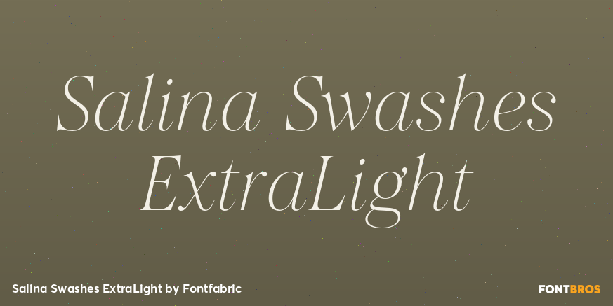 Salina Swashes ExtraLight Poster