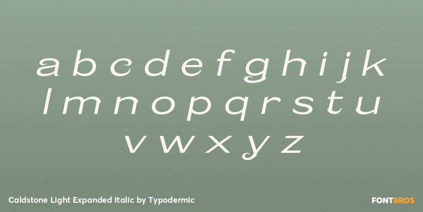 Caldstone Light Expanded Italic Font Poster #3