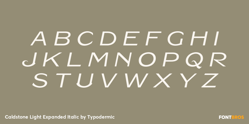Caldstone Light Expanded Italic Font Poster #2