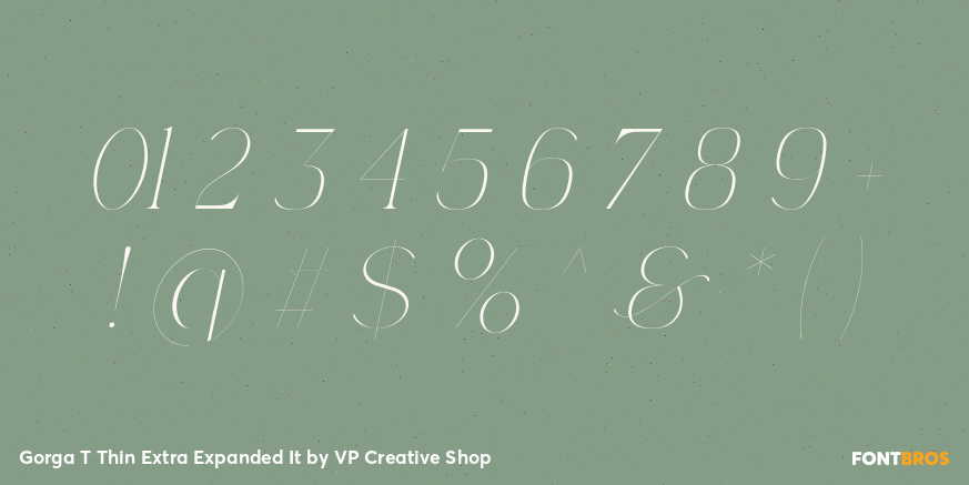 Gorga T Thin Extra Expanded It Font Poster #4