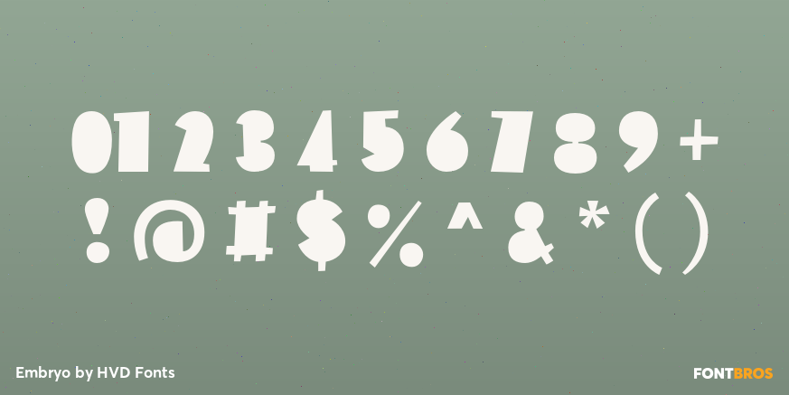 Embryo Font Poster #1