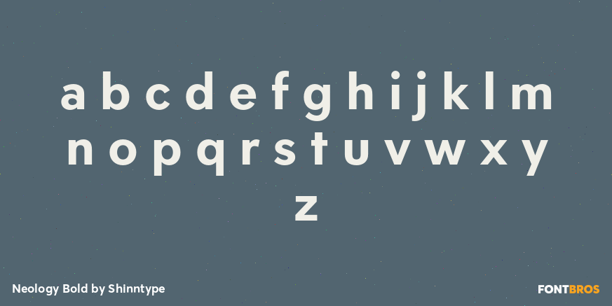 Neology Bold Font Poster #3