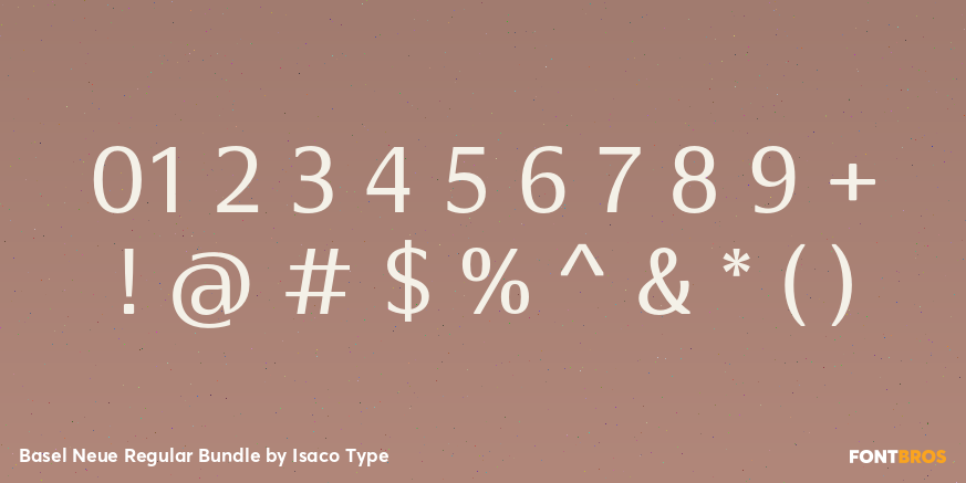 Basel Neue Regular Bundle Font Poster #4