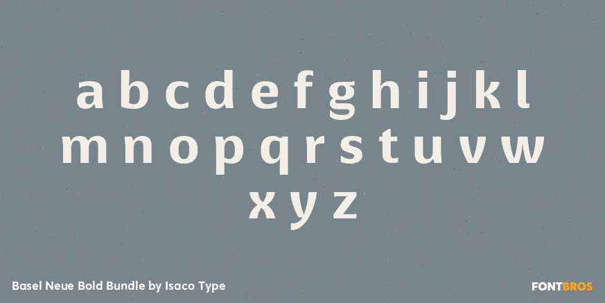 Basel Neue Bold Bundle Font Poster #3