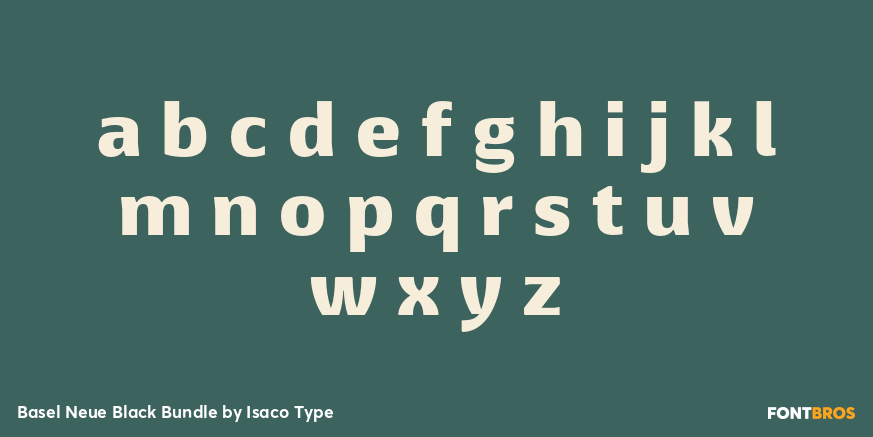 Basel Neue Black Bundle Font Poster #3
