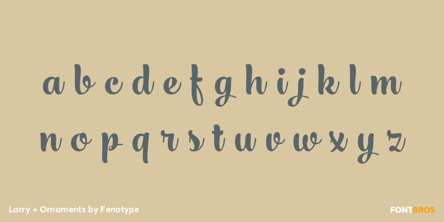 Larry + Ornaments Font Poster #1