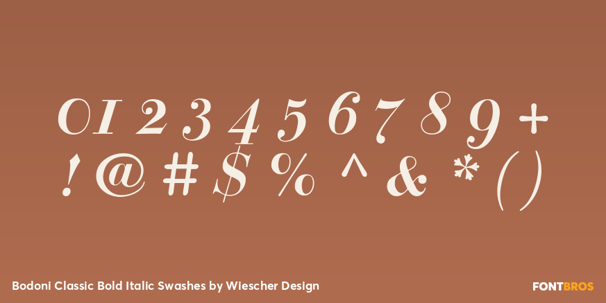 Bodoni Classic Bold Italic Swashes Font Poster #4